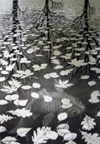 reflection