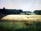 field