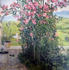 rose_bush