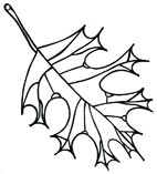 leaf