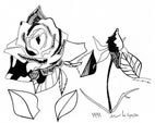 roses