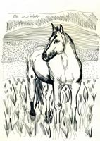 horse